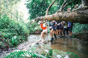 BIB: 
                            <button type="button" onclick="openModal(25475492)" class="btn btn-primary btn-sm float-right btn-popup" data-toggle="modal" data-target=".modal-high-quality">
                        <i class="fas fa-shopping-cart"></i> Add to Cart
                    </button>
                                            <button type="button" onclick="isThisMe(25475492, true)" class="btn btn-success btn-sm float-right btn-popup btn-isme hidden" data-toggle="tooltip" data-placement="bottom" title="นี่คือรูปของคุณใช่ไหม คลิกที่นี่เพื่อเอาเข้าอัลบั้ม">
                        <i class="fas fa-plus"></i> Add to album
                    </button>
                    <button type="button" onclick="isThisMe(25475492, false)" class="btn btn-warning btn-sm float-right btn-popup btn-isnotme hidden">
                        <i class="fas fa-ban"></i> Remove from album
                    </button>